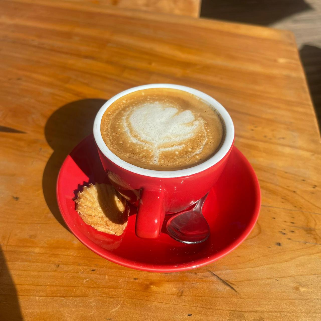 Imagen de Cappuccino Doble 