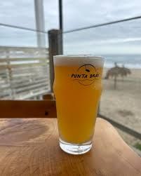 Imagen de Shop Punta Braun